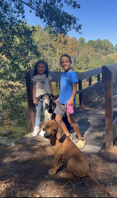 Hiking! Rhodesian Ridgeback Puppies Breeding Lure Coursing Barn Hunt Fast Cat Dock Diving Conformation Rally Scent Ridgeback puppies breeding