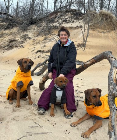 Rhodesian Ridgeback Puppies Breeding Lure Coursing Barn Hunt Fast Cat Dock Diving Conformation Rally SceRhodesian Ridgeback puppies breeding