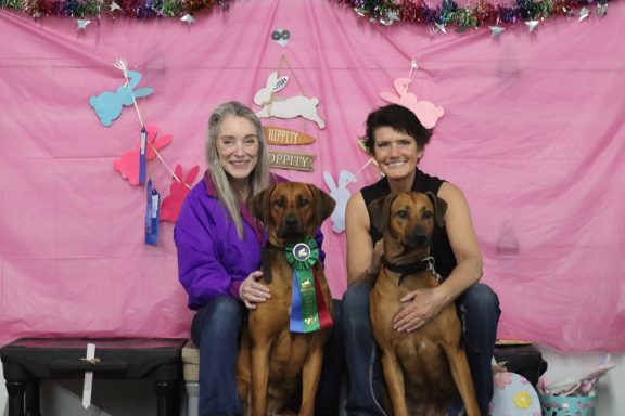 Rhodesian Ridgeback Puppies Breeding Lure Coursing Barn Hunt Fast Cat Dock Diving Conformation Rally Scent Ridgeback puppies breeding