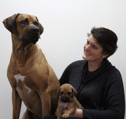 Rhodesian Ridgeback breeding puppies dock diving lure coursing FCAT scent therapy tracking conformation rally barn hunt CGC Farm Dog