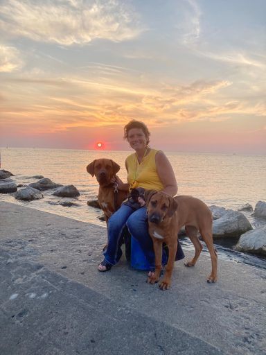 Rhodesian Ridgeback Puppies Breeding Lure Coursing Barn Hunt Fast Cat Dock Diving Conformation Rally Scent Work Therapy Dog Companionship 