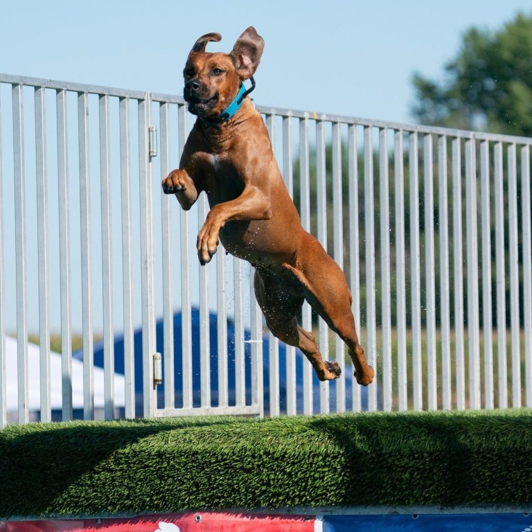 Like Mother Like Daughter