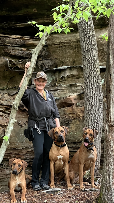 Rhodesian Ridgeback Puppies Breeding Lure Coursing Barn Hunt Fast Cat Dock Diving Conformation Rally SceRhodesian Ridgeback puppies breeding