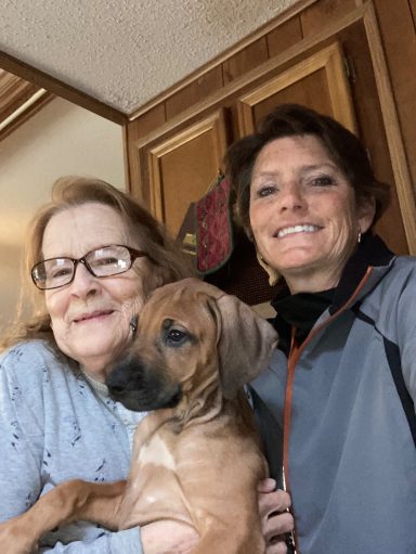 Rhodesian Ridgeback Puppies Breeding Lure Coursing Barn Hunt Fast Cat Dock Diving Conformation Rally Scent Work Therapy Dog Companionship 