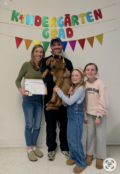 Graduation Day! Rhodesian Ridgeback Puppies Breeding Lure Coursing Barn Hunt Fast Cat Dock Diving Conformation Rally Scent Ridgeback puppies breeding
