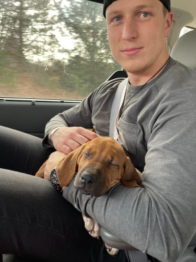Rhodesian Ridgeback breeding puppies dock diving lure coursing FCAT scent therapy tracking conformation rally barn hunt CGC Farm Dog
