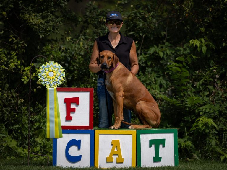 Shamwari's Thrillers Pride Coursing Rhodesian ridgeback akc champion