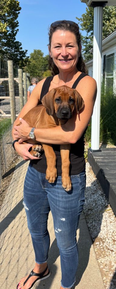 Lettie Kids Rhodesian Ridgeback Puppies Breeding Lure Coursing Barn Hunt Fast Cat Dock Diving Conformation Rally Scent Ridgeback puppies breeding
