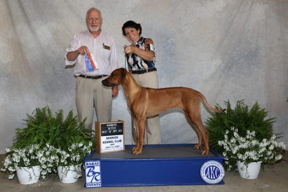 Rhodesian Ridgeback Puppies Breeding Lure Coursing Barn Hunt Fast Cat Dock Diving Conformation Rally Scent Ridgeback puppies breeding