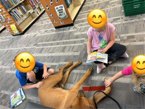 Rhodesian Ridgeback Puppies Breeding Lure Coursing Barn Hunt Fast Cat Dock Diving  Rally Scent Work Therapy Dog GrandCompanion 