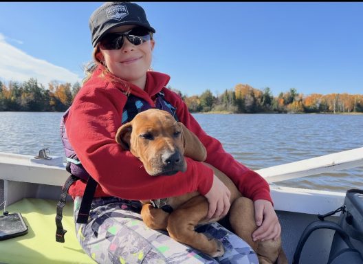 The Life! Rhodesian Ridgeback Puppies Breeding Lure Coursing Barn Hunt Fast Cat Dock Diving Conformation Rally Scent Ridgeback puppies breeding