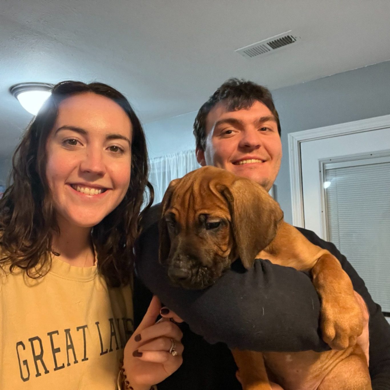 Rhodesian Ridgeback breeding puppies dock diving lure coursing FCAT scent therapy tracking conformation rally barn hunt CGC Farm Dog