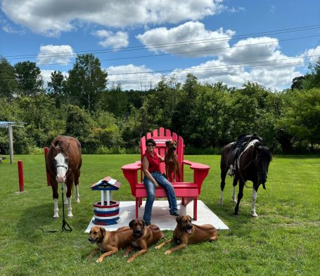 Rhodesian Ridgeback breeding puppies dock diving lure coursing FCAT scent therapy tracking conformation rally barn hunt CGC Farm Dog